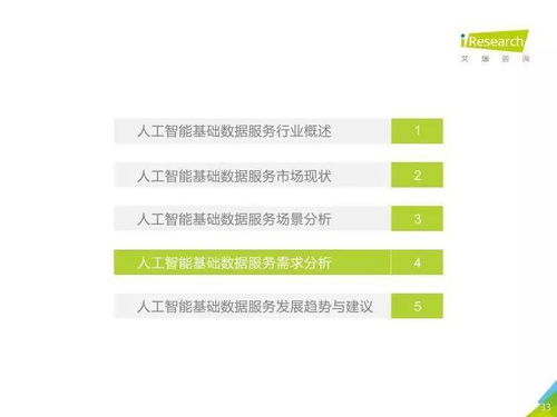 中國人工智能基礎(chǔ)數(shù)據(jù)服務(wù)行業(yè)報(bào)告 聚焦人工智能基礎(chǔ)軟件開發(fā)